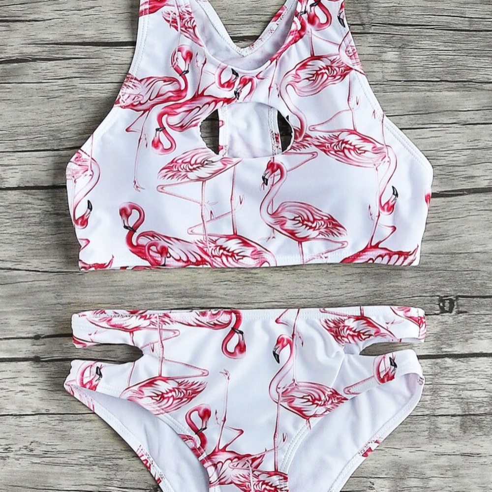 Flamingo Bikini